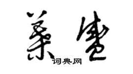 曾慶福葉盛草書個性簽名怎么寫
