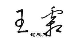 駱恆光王霜草書個性簽名怎么寫