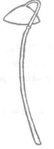 耨_耨介紹_歷史知識