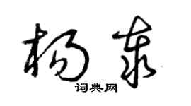 曾慶福楊泰草書個性簽名怎么寫