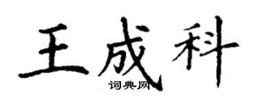 丁謙王成科楷書個性簽名怎么寫