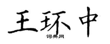 丁謙王環中楷書個性簽名怎么寫