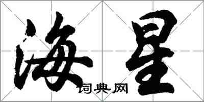 胡問遂海星行書怎么寫