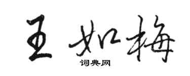 駱恆光王如梅行書個性簽名怎么寫