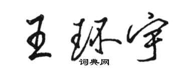 駱恆光王環宇行書個性簽名怎么寫