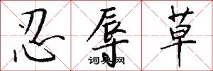 忍辱草怎么寫好看