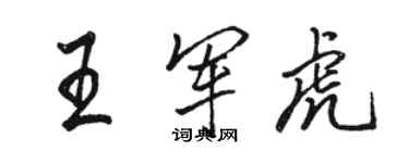 駱恆光王軍虎行書個性簽名怎么寫