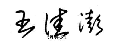 朱錫榮王佳澎草書個性簽名怎么寫