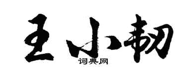 胡問遂王小韌行書個性簽名怎么寫