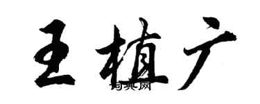 胡問遂王植廣行書個性簽名怎么寫