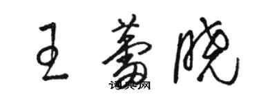 駱恆光王蕾曉草書個性簽名怎么寫