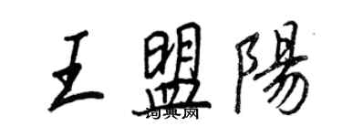 王正良王盟陽行書個性簽名怎么寫