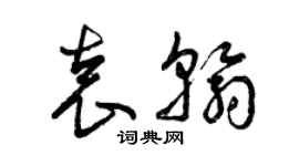 曾慶福袁翰草書個性簽名怎么寫