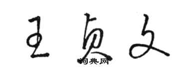 駱恆光王貞文草書個性簽名怎么寫