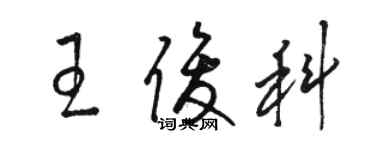 駱恆光王俊科草書個性簽名怎么寫