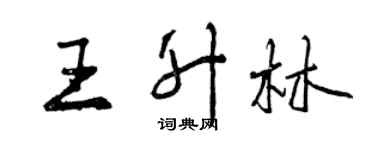 曾慶福王升林行書個性簽名怎么寫