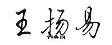 駱恆光王揚易行書個性簽名怎么寫