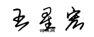 朱錫榮王星宏草書個性簽名怎么寫