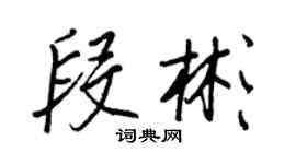 王正良段彬行書個性簽名怎么寫
