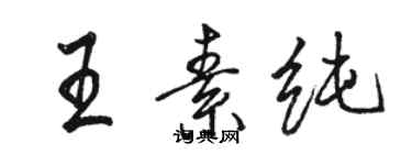 駱恆光王素純行書個性簽名怎么寫