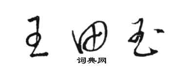 駱恆光王田玉草書個性簽名怎么寫