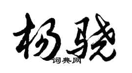 胡問遂楊驍行書個性簽名怎么寫