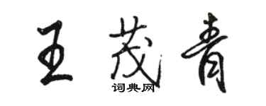 駱恆光王茂青行書個性簽名怎么寫