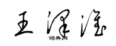 梁錦英王澤淮草書個性簽名怎么寫