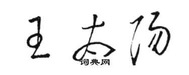 駱恆光王太陽草書個性簽名怎么寫