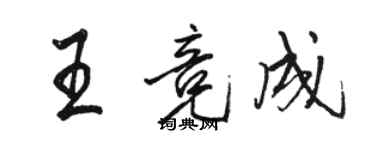 駱恆光王競成行書個性簽名怎么寫