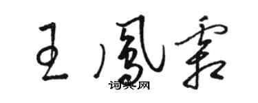 駱恆光王鳳霜草書個性簽名怎么寫