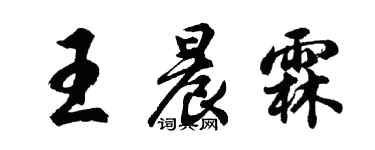 胡問遂王晨霖行書個性簽名怎么寫