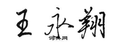 駱恆光王永翔行書個性簽名怎么寫