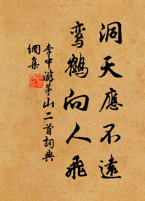 雨中千點絮，來伴落花飛 詩詞名句