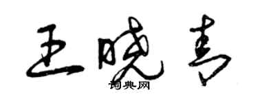 曾慶福王曉青草書個性簽名怎么寫