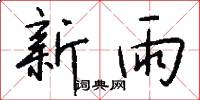 新雨怎么寫好看