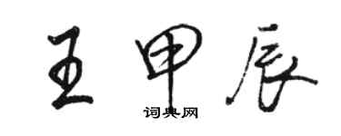 駱恆光王甲辰行書個性簽名怎么寫