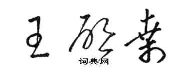 駱恆光王啟桑草書個性簽名怎么寫