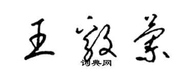 梁錦英王毅蘭草書個性簽名怎么寫