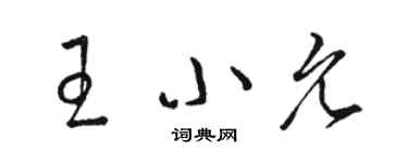 駱恆光王小允草書個性簽名怎么寫