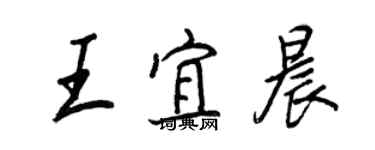 王正良王宜晨行書個性簽名怎么寫