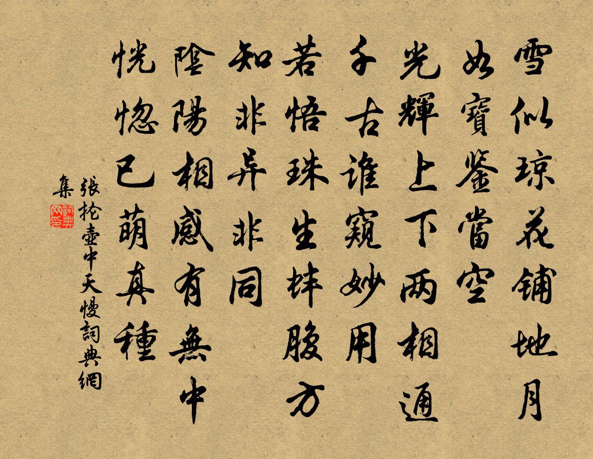 張掄壺中天慢/念奴嬌書法作品欣賞