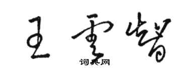 駱恆光王雲智草書個性簽名怎么寫