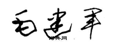 朱錫榮毛建軍草書個性簽名怎么寫