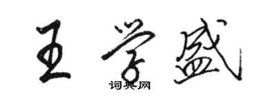 駱恆光王學盛行書個性簽名怎么寫