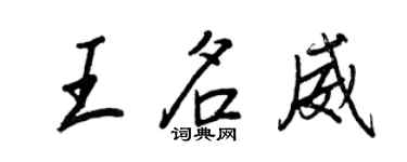 王正良王名威行書個性簽名怎么寫