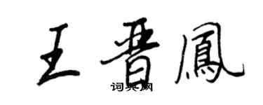王正良王晉鳳行書個性簽名怎么寫
