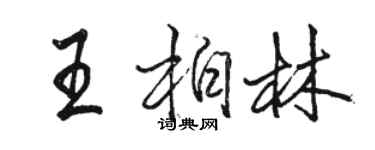 駱恆光王柏林行書個性簽名怎么寫
