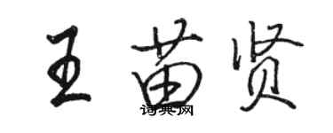 駱恆光王苗賢行書個性簽名怎么寫