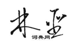 駱恆光林聖草書個性簽名怎么寫